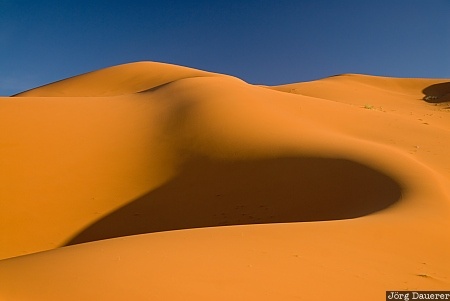 Adrouine, blue sky, clouds, Erg Chebbi, Meknès-Tafilalet, Merzouga, morning light, Morocco, Marokko