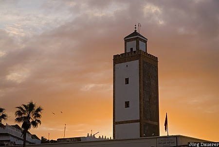 Sunrise Minaret Essaouira, Marrakech-Tensift-Al Haouz, Morocco, ben youssef, minaret, mosque, palm tree, Marokko