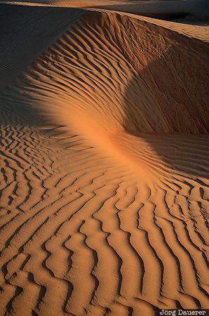 Oman, OMN, desert, evening light, pattern, Ramlat al-Wahiba, sand
