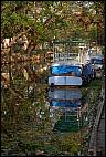 Boats in Alleppey