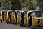 Auto Rickshaws