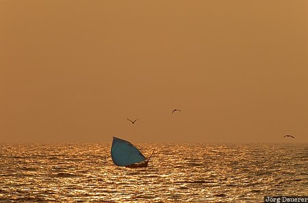 Fishing Boat Fort Kochi, India, Kerala, Udayamperoor, Arabian Sea, blue, coast