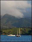 Coromandel Coastline