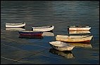 Boats in Morning Light