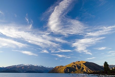 New Zealand, Wanaka, Otago, blue sky, clouds, evening light, Glendhu, Neuseeland