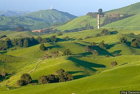 Gladstone, New Zealand, blue sky, clouds, farmland, green, North Island, Neuseeland