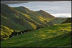 Otago Peninsula