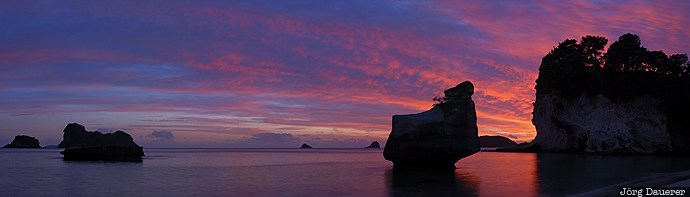 beach, Cathedral Cove, coast, Cooks Beach, Coromandel, Coromandel Peninsula, Mares Leg Cove, New Zealand, Neuseeland