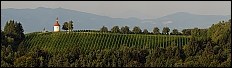 Chapel in the vineyard