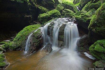 Austria, AUT, Salzburg, Spanswag, green, mossy, motion