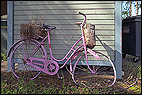 Pink Bicycle