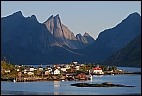 Reine