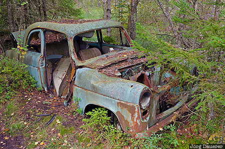 Wreck of a Car Almundsryd, Blekinge, Ryd, SWE, Sweden, Bilkyrkogården Kyrkö Mosse, car