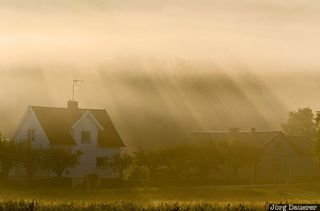 Gläshed, Hjälteby, SWE, Sweden, Västra Götaland, fog, mist