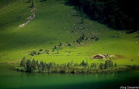 Königsee Königsee, Upper Bavaria, Bavaria, Germany, green meadow, Lake, Oberbayern, Deutschland, Bayern, Koenigsee