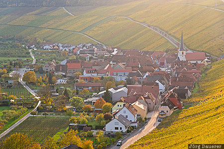 Bavaria, DEU, Escherndorf, Germany, Nordheim am Main, autumn, evening light, Deutschland, Bayern