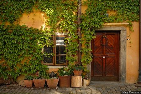 Ceský Krumlov, Czech Republic, Krumau, alley, door, ivy, Cechy, South Bohemia, Tschechien, Südböhmen, Jihoceský kraj, Suedboehmen, Jihocesky kraj