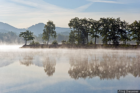 Lower Silesia, POL, Poland, fog, lake, mist, morning fog, Dabrowica