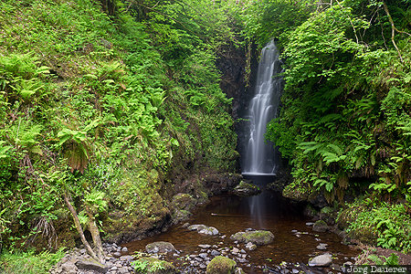 Carnlough, GBR, Glenariff, Glens of Antrim, Northern Ireland, United Kingdom, Cranny Falls, Großbritannien, Vereinigtes Königreich, Grossbritannien, Vereinigtes Koenigreich