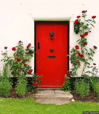 Dorset, England, Milton Abbas, door, red, red door, cottage, United Kingdom, Großbritannien, Vereinigtes Königreich, Grossbritannien, Vereinigtes Koenigreich