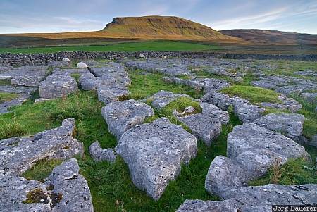 England, Yorkshire, Settle, limestone, green, grass, Pen-Y-Ghent, United Kingdom, Yorkshire Dales, Großbritannien, Vereinigtes Königreich, Grossbritannien, Vereinigtes Koenigreich