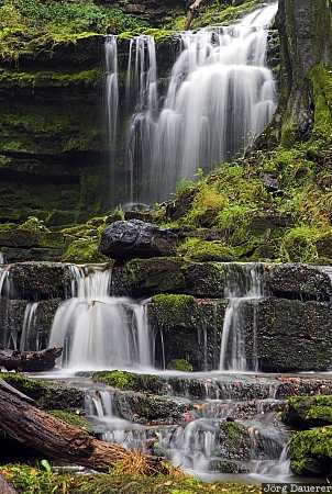 United Kingdom, England, Yorkshire Dales, stone, waterfall, flowing water, Settle, Yorkshire, Großbritannien, Vereinigtes Königreich, Grossbritannien, Vereinigtes Koenigreich