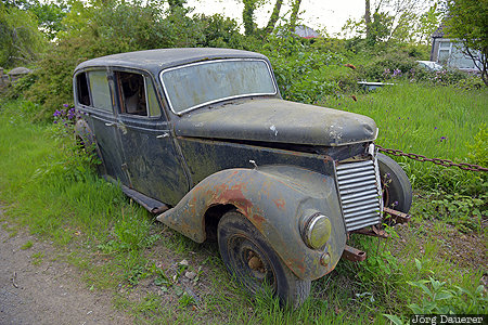 Lone Car Wreck Ireland, IRL, Wexford, car, car wreck, green, Hook Peninsula, Republic of Ireland, Saltmills, Irland