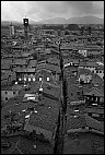 Roofs of Lucca