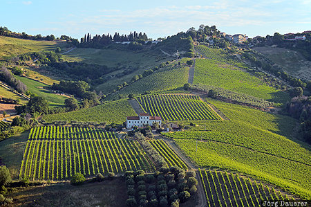 Acquaviva Picena, ITA, Italy, Marche, blue sky, Monteprandone, morning light, Italien, Italia