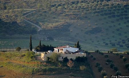 Spain, Andalusia, Ronda, farm houses, green, meadow, morning light, Spanien, Espana, Andalucia, Andalusien