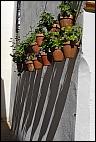 Flowerpots and shadows