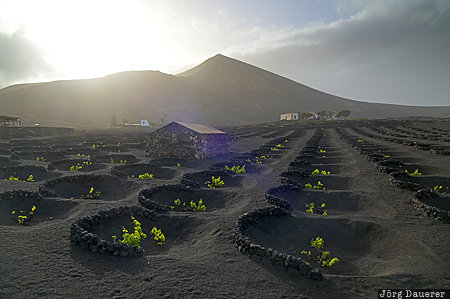 La Geria Barranco Del Agua, Canary Islands, ESP, La Asomada, Spain, Lanzarote, la geria, Spanien, Espana