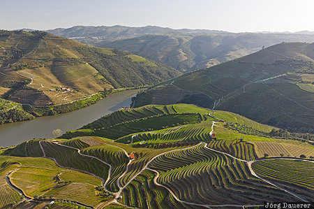 Douro, Douro river, evening light, Pinh&atilde;o, Portugal, PRT, valley, Vila Real