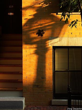 Shadow, Street lamp, Boston, Massachusetts, New England, United States, Beacon Hill, USA, Vereinigte Staten, MA