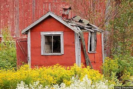 USA, Vermont, Lowell, red, yellow, ruin, farm