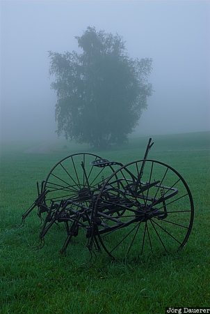 Fog, Tree, wheels, Vermont, Green Mountains, New England, United States, USA, Vereinigte Staten, VT