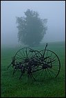 Fog in the Green Mountains