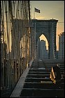 On Brooklyn Bridge