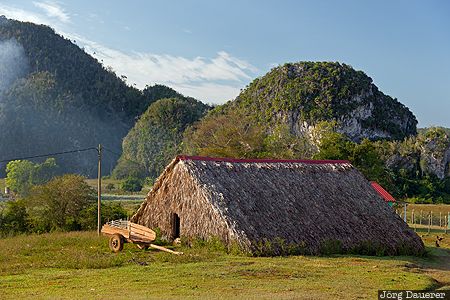 CUB, Cuba, Ensenada de las Casas, Pinar del Río, blue sky, cart, green, Viñales, Kuba, Pinar del Rio, Vinales