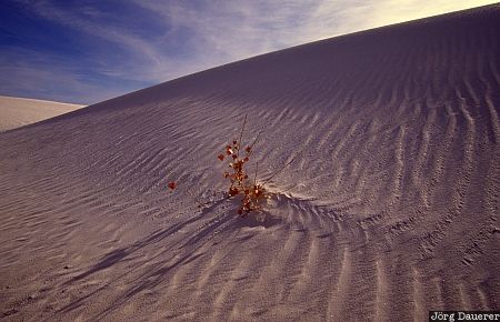 White Sands National Monument, desert, pattern, detail, New Mexico, Alamogordo, United States, USA, Vereinigte Staten, Neu Mexiko, NM