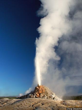 White Dome Geyser, eruption, Firehole Lake Drive, Yellowstone National Park, Wyoming, United States, WY, USA, Vereinigte Staten