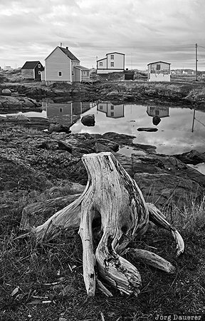 Tilting Atlantic Ocean, Tilting, CAN, Canada, Fogo Island, houses, morning light, Newfoundland and Labrador, Kanada