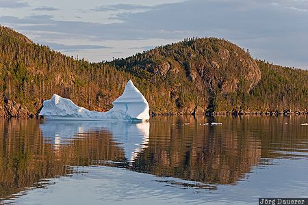 CAN, Canada, Newfoundland, Salt Harbour, evening light, Herring Neck, Iceberg, Kanada