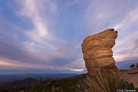 Arizona, Mount Lemmon, United States, USA, Willow Canyon, fill flash, flash gun