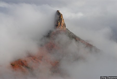 United States, Arizona, North Rim, fog, Grand Canyon, mist, national park