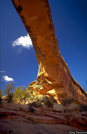 Owachomo Bridge, Natural Arch, Natural Bridges National Monument, Natural Bridge, Utah, United States, UT, USA, Vereinigte Staten