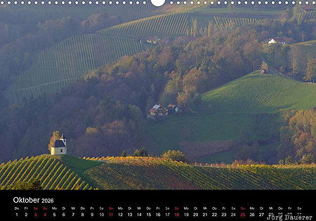 Vineyard near Gamlitz, Styria, Austria, calendar, October, Steiermark, &Ouml;sterreich